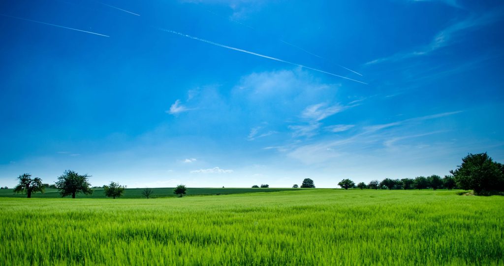 oz recyklujeme header
